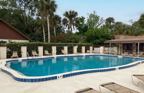 Port Orange Palm Tree Reverie - Photo 27