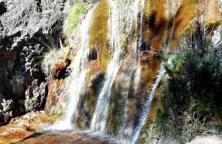 El Almendro de Fuentes Nuevas - Foto 44