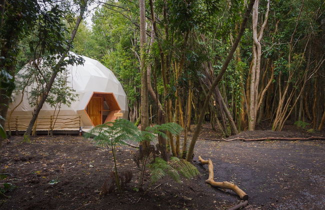 Cabañas Ensenada Bosque Nativo - Foto 8