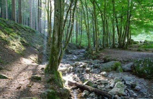 Charming Apartment in Ardennes - Foto 12