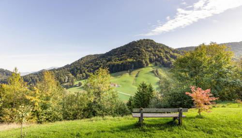 Ferienwohnung Alpenglück - Foto 4