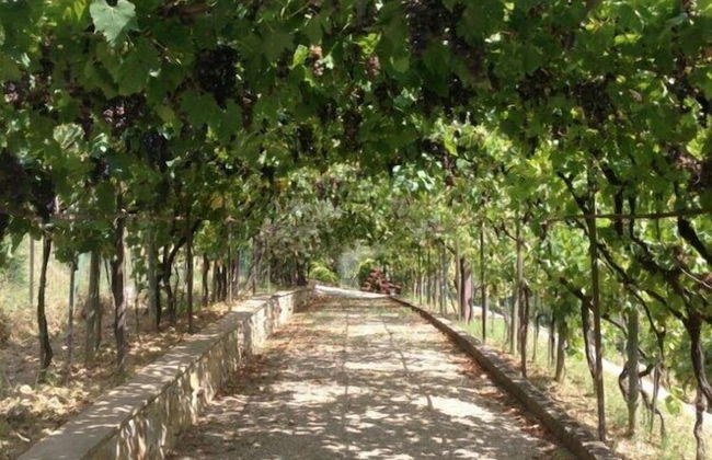 Poggiluglio - Foto 48