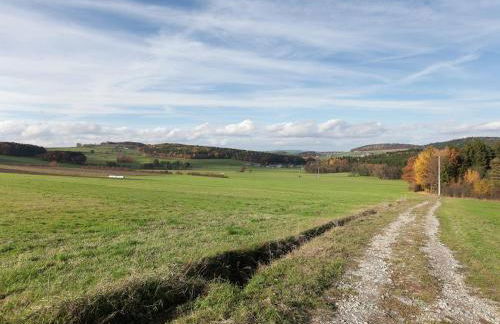 Bauernhof in Spandlberg am Hohe Bogen - Foto 62