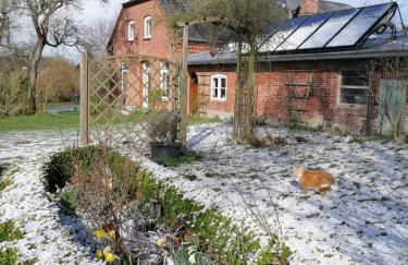 FW Achterdeck, 1 Obergeschoss, Petershof-Lehbek - Foto 25