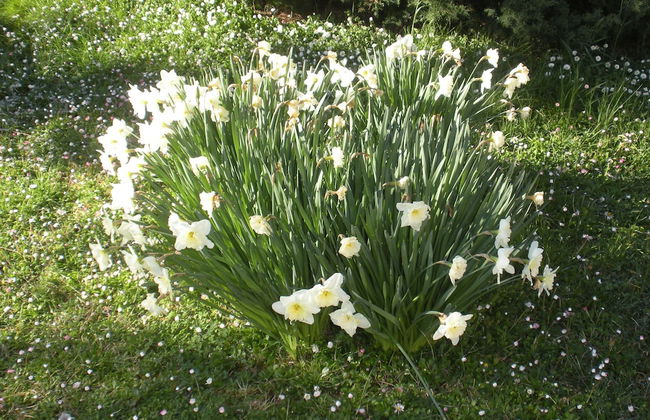 Agriturismo Le Rose - Foto 66