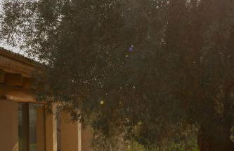 IUTA Glamping & Farm - Foto 152