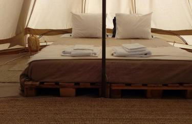 Monte da Tojeirinha - Foto 6