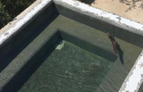 Villa Paradise Regained - Photo 6