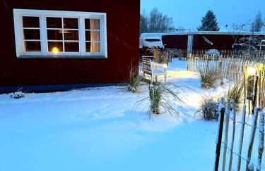 Ferienhaus am Saaler Bodden - Foto 21