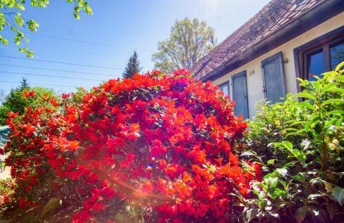 Tom olen Stien - Heidjer Ferien - Foto 27