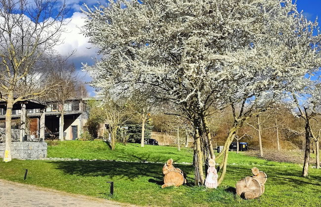 HexenburgbeiDresden 2 Zimmer Architektenwohnung mit eigener Sauna, Whirlwanne und Kamin - Nähe Sächsische Schweiz - Foto 15