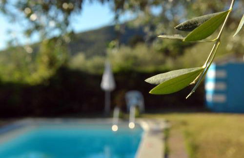 La Villa di Caiano - Foto 39