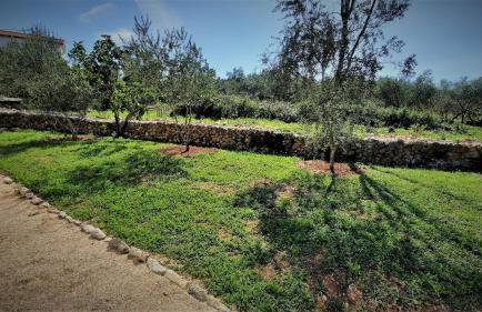 Holiday House Vela Vrta - Foto 49