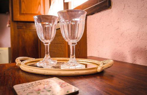 Garden Cactus - Foto 72