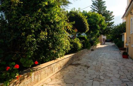 Olga Studios - 2 - Photo 2