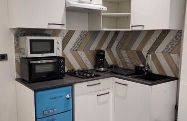 Grand studio refait à neuf centre-ville - Foto 4