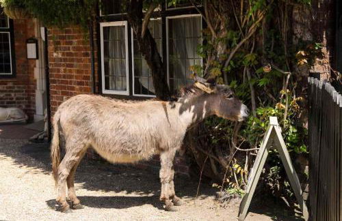 Moonwood House - Foto 76