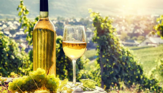 Degustazione di vini in Alsazia