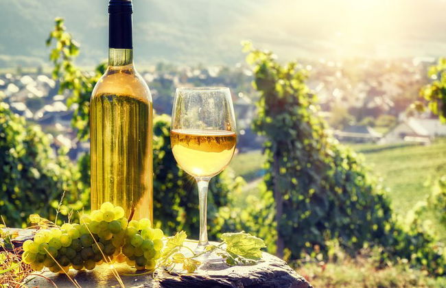 Tour guidato per piccoli gruppi con partenza da Strasburgo - Foto 4