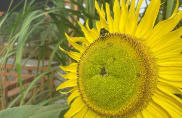 Siedlisko Lubie - Foto 31