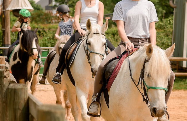 Nengshof - Haus Ehrenpreis - Foto 12