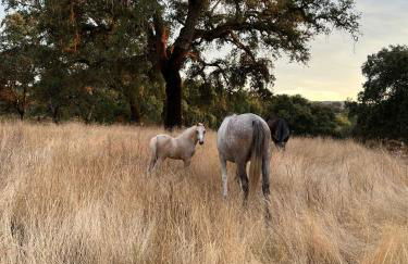 Corteganillas - Foto 24