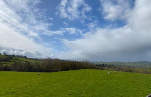 The Cottage at Sychnant Farm - Photo 34