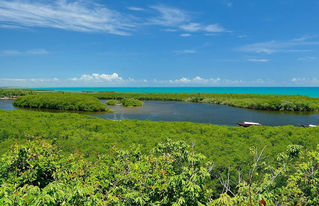 João de Tiba River Boat Trip - Foto 1
