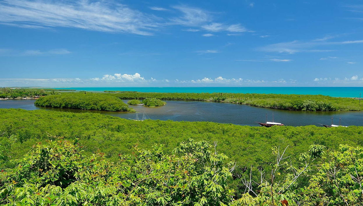 Balade en bateau sur le fleuve João de Tiba