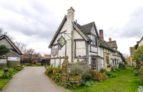 Alstroemeria - Photo 18