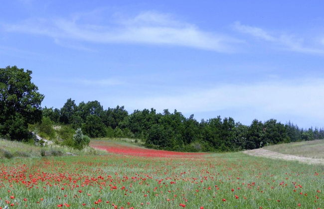 Holiday Home in Revest With Garden - Foto 29