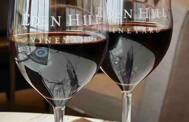 Luxury Event and Stay in Celina, Texas - Photo 35