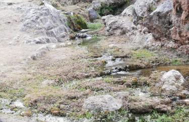 Casa rural El Majuelo - Foto 41