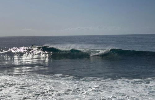 A Casa da Minha Mãe - Photo 41