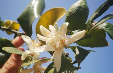 Lazulite - Sardinia Suite - Photo 24