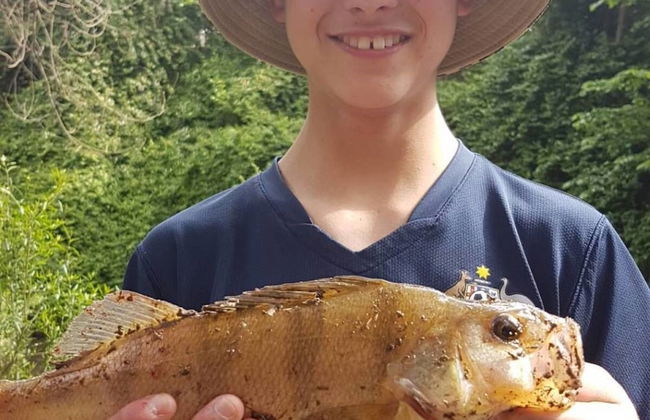 Yea Riverside Caravan Park - Foto 21