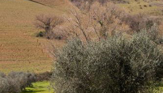 La Fondona - Foto 5, Other