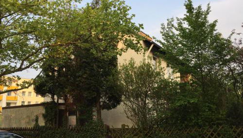 Comfort Lodging Stueckenfeld - Foto 3, Garden