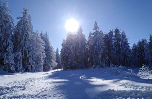 Berghof Studio Haus Rachel mit Pool - Foto 16
