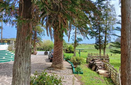 Casa da VíVí - Foto 15