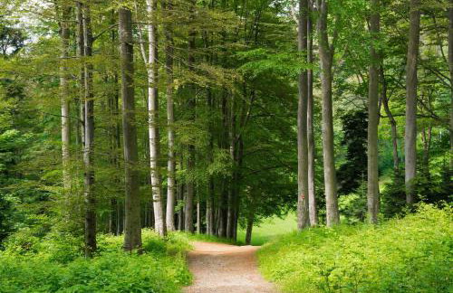 Lovely House Near Zagreb With Terrace - Happy Rentals - Foto 39