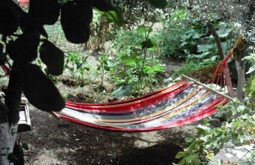 Evanthia Toroz Rooms & Studios - Photo 10