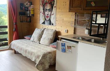 Le ZEN au pied du Grand Veymont en été en hiver - Foto 4