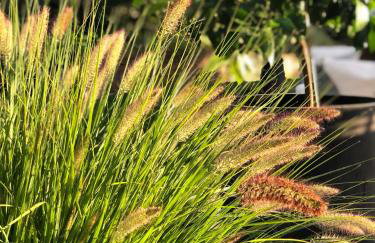 110qm Countryside Loft - Foto 60