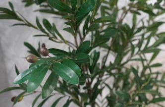 Poseidon's Premium Apartment - Foto 22