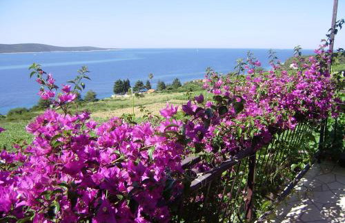 Apartment Lenka - Foto 43