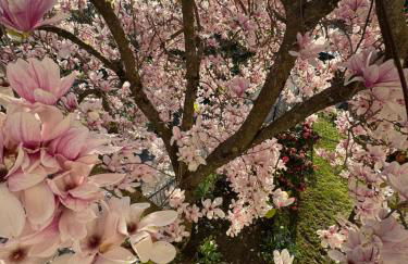 Casa Orlandina - Foto 29