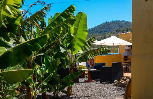 Casa la Viña - Foto 21