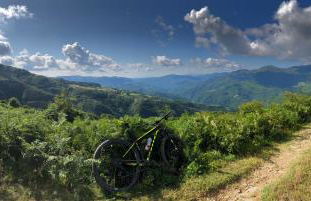 Nidi del faggio rosso - Family Holiday Home - Foto 43