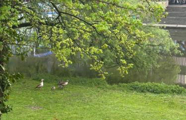 Wohnung am Neckar mit Tiefgarage - Foto 16